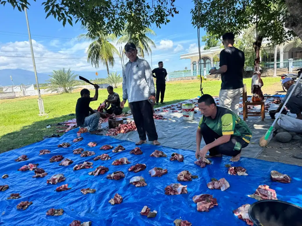 MIN 22 Bireuen Sembelih Dua Ekor Sapi Kurban, Daging Dibagikan kepada 220 Penerima