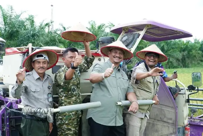 Pascabencana, Aceh Tamiang Bangkit: 155 Hektare Sawah Kembali Produktif Lewat Panen Raya