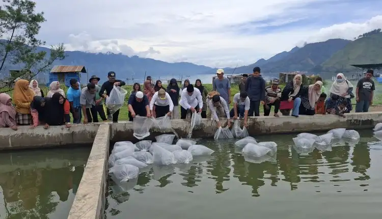 Wabup Aceh Tengah Tebar 10.000 Benih Ikan Nila di Keramat Mupakat, Perkuat Ketahanan Pangan Kampung